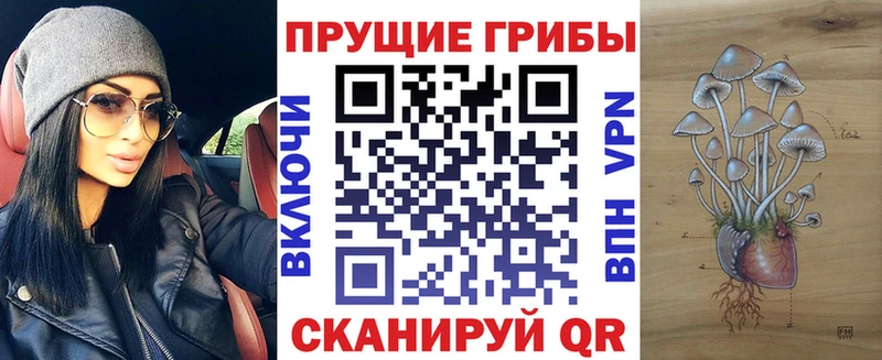 Купить закладки Лениногорск Галлюциногенные грибы Psilocybine cubensis