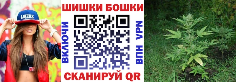 Бошки Шишки сатива  Купить закладки  Лениногорск 